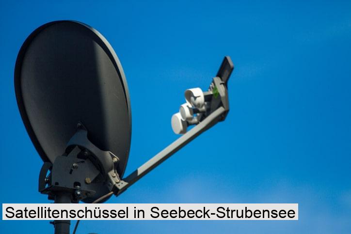Satellitenschüssel in Seebeck-Strubensee